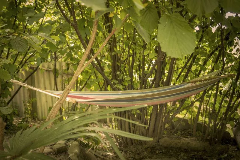 . Частный сектор "Новые горизонты в Сосновом бору" . Чемитоквадже