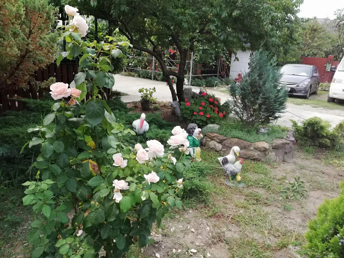 . Гостевой дом "Сибирячка". Ольгинка