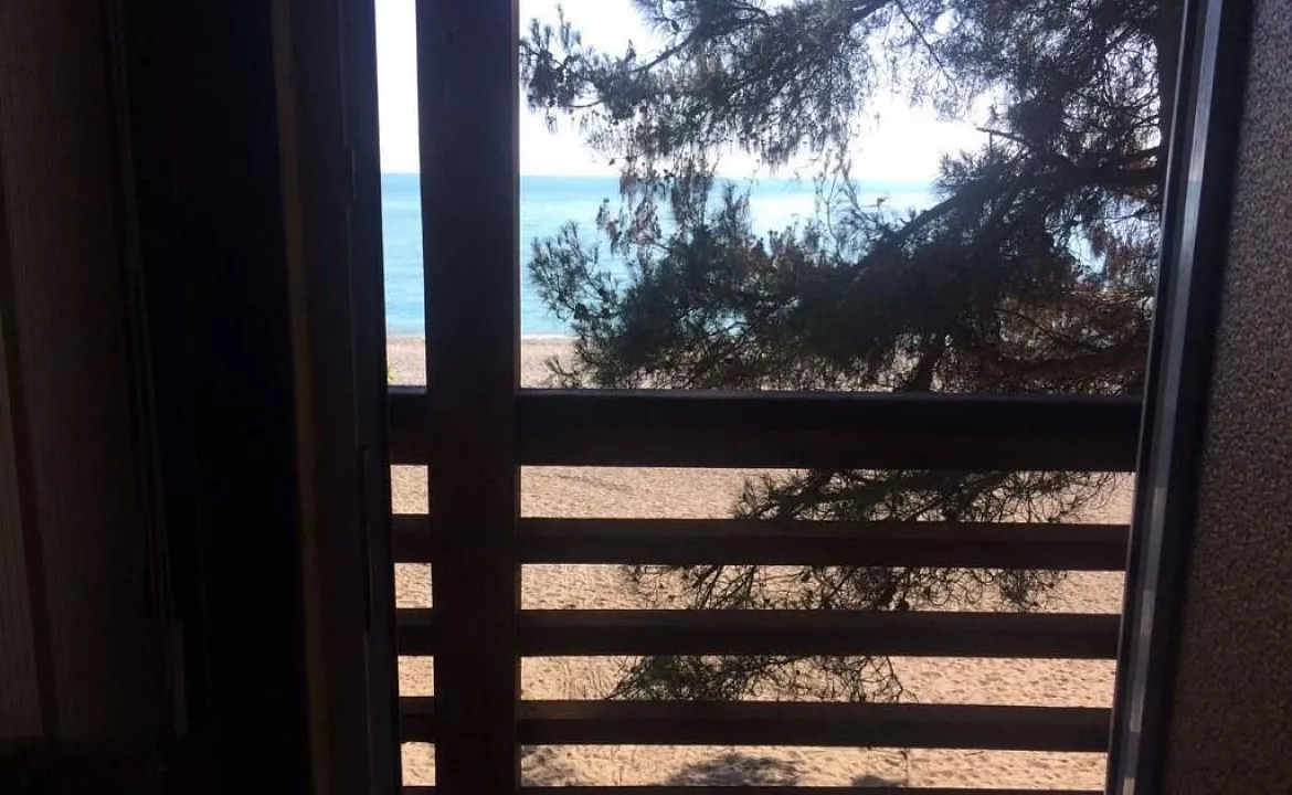 Стандарт. Гостевой дом "Апсилия". Пицунда