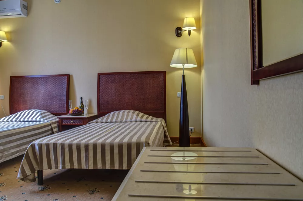 Двухместный Стандарт с видом на парк. Гостевой комплекс "Мечта Тея". Керчь