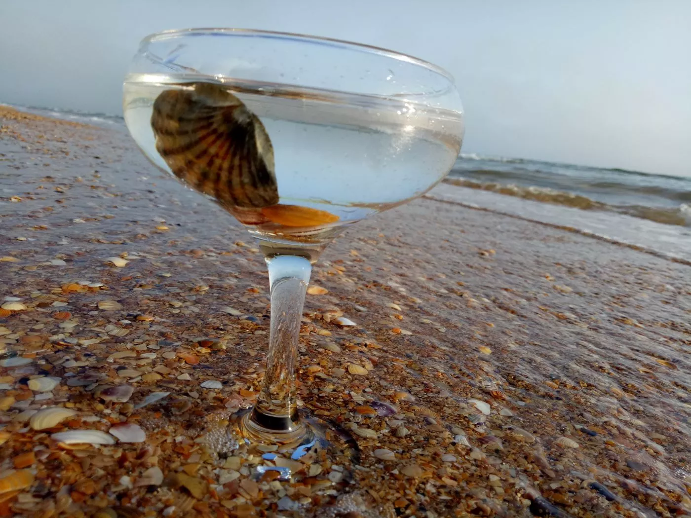 . Гостевой дом SunnyHouse. Витязево . Гостевой дом SunnyHouse. Витязево