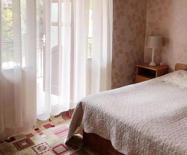 . Гостевой дом "Элина" . Адлер