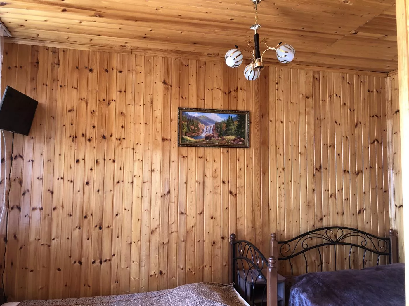 . Гостевой дом “Leon”. Пицунда . Гостевой дом “Leon”. Пицунда