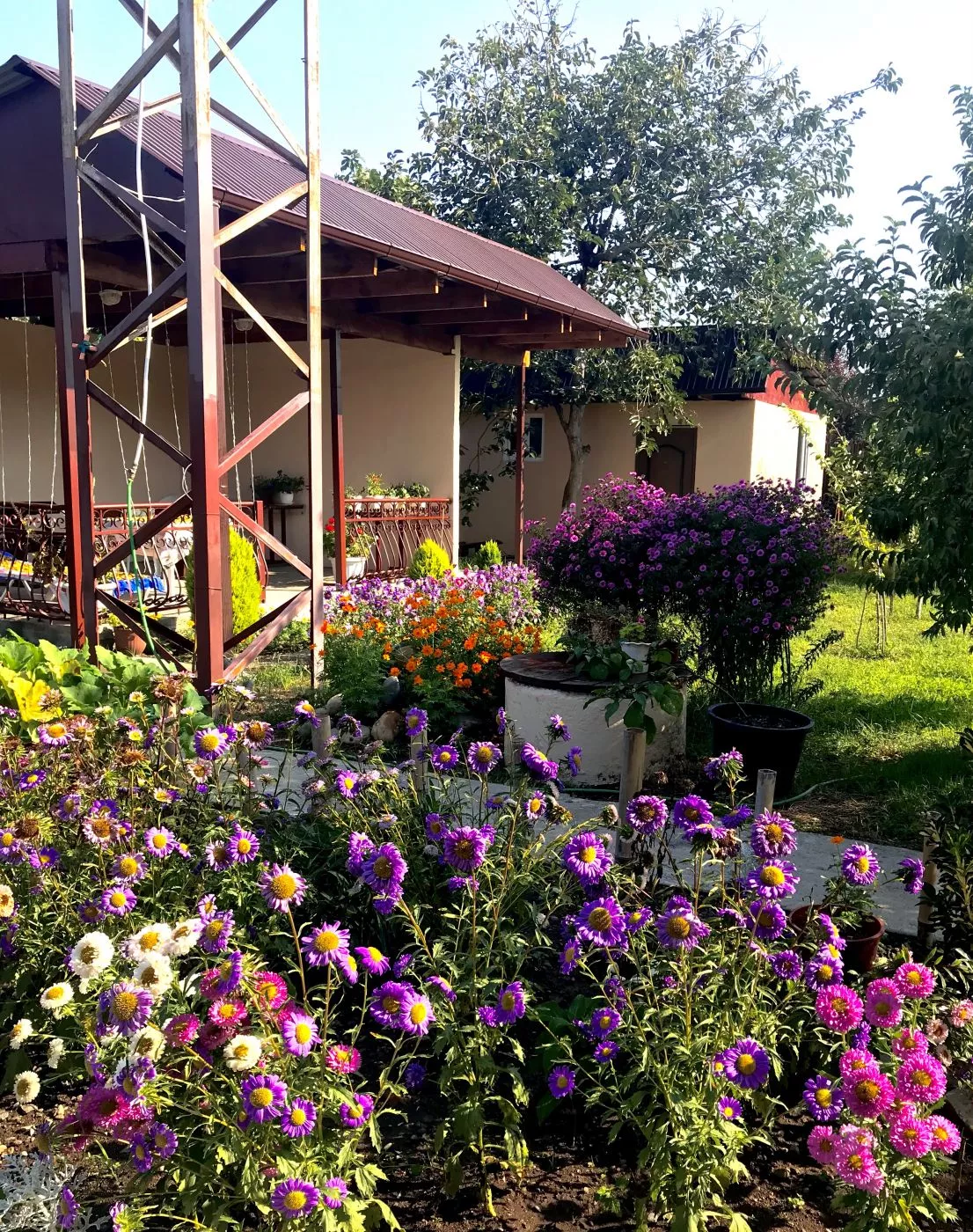 . Гостевой дом "Оазис". Сухум