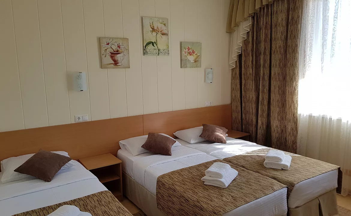 Люкс с отдельным балконом 3хместный. Отель АСТОН. Нижнее Джемете