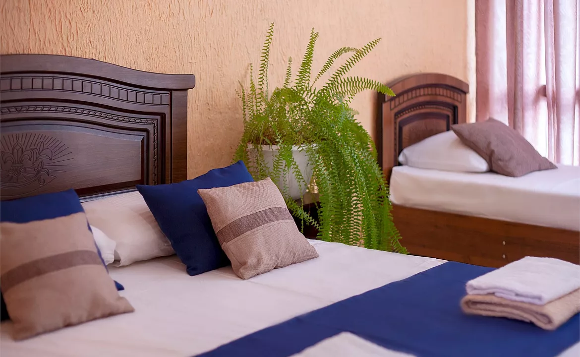 Комфорт трехместный. Гостевой дом «Алоиза». Лоо