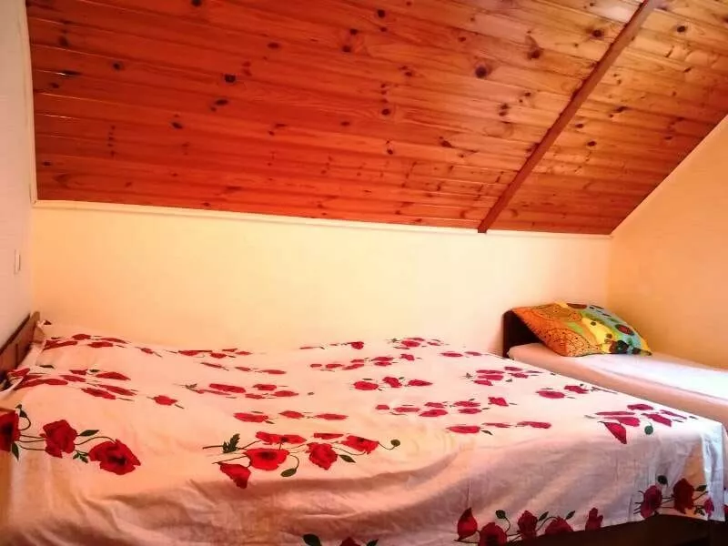 .  Семейный Котедж. Лазаревское