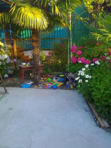 . Гостевой дом "У Павла". Пицунда