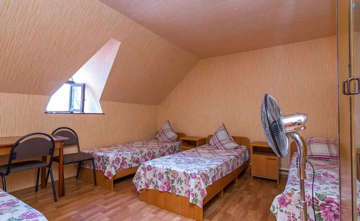 Эконом. Гостевой дом Александра. Адлер Эконом. Гостевой дом Александра. Адлер