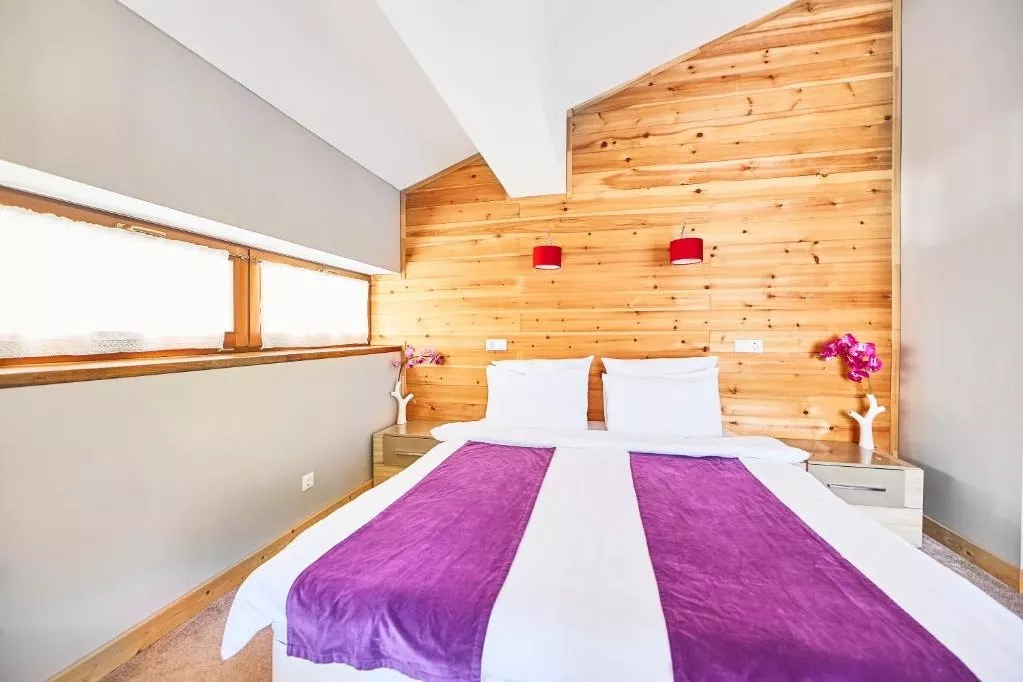 . Гостевой дом Гостевой дом Парк Шале. Красная Поляна