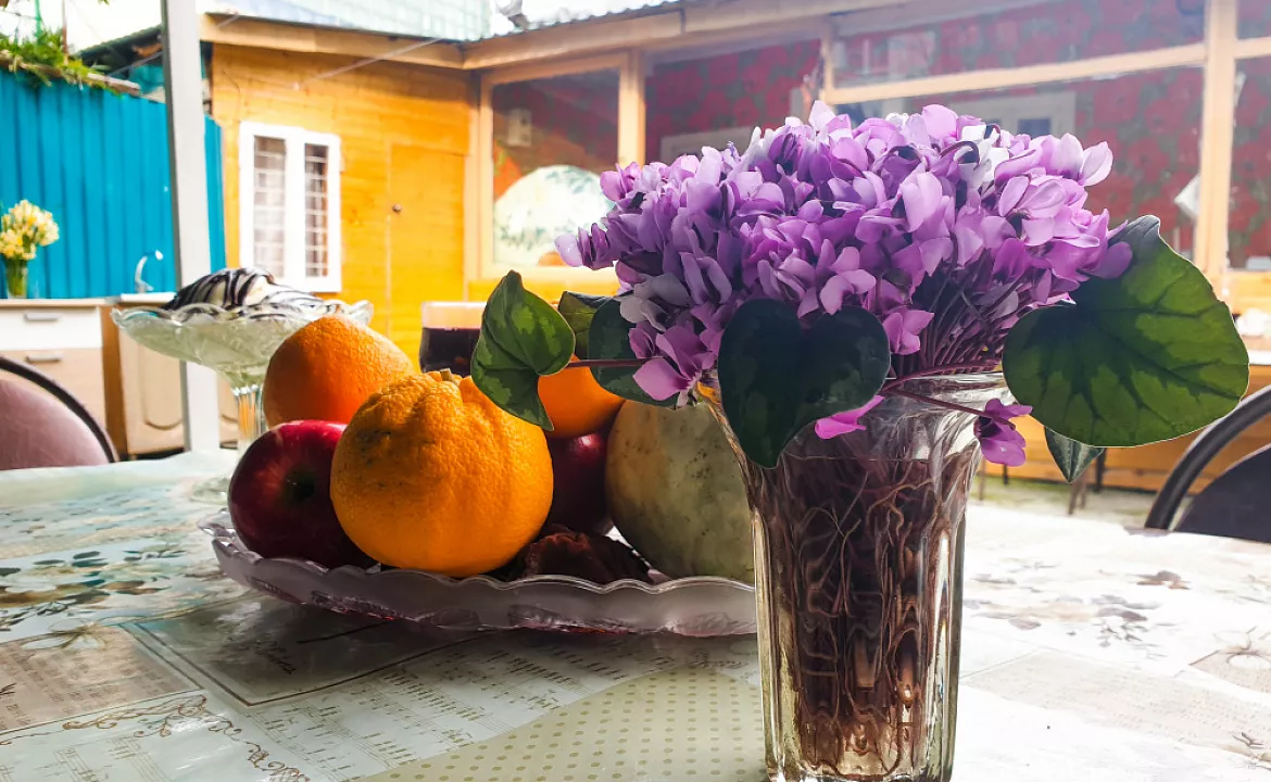 Дом под ключ. Дом под ключ FIESTA SEA. Гагра