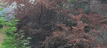 База отдыха ЛЕТО