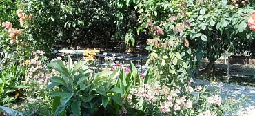 Частный сектор «У Ануш»