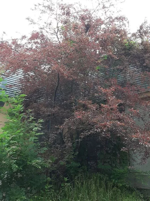 . База отдыха ЛЕТО. Бухта Инал