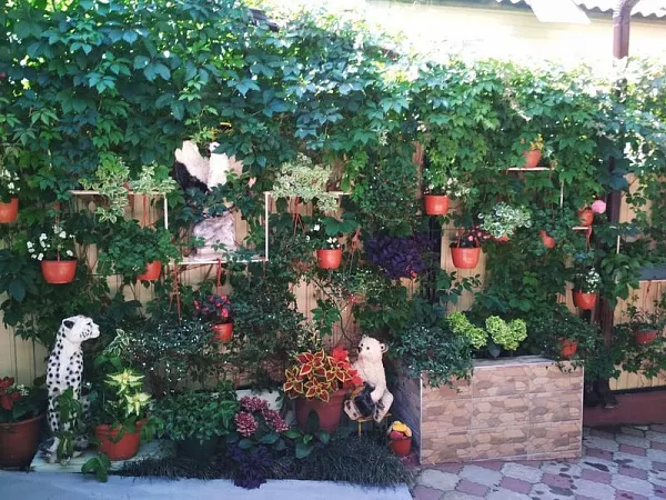 . Гостиница "У Эммы". Лазаревское