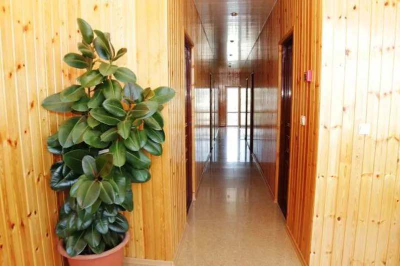 . Гостевой дом "Лолита". Адлер