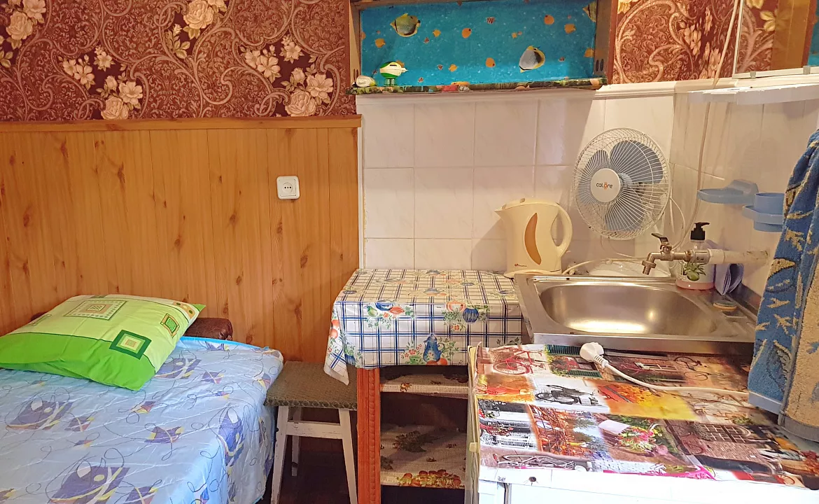Одноместная комната на первом этаже. Гостевой дом “Galina”. Саки Одноместная комната на первом этаже. Гостевой дом “Galina”. Саки