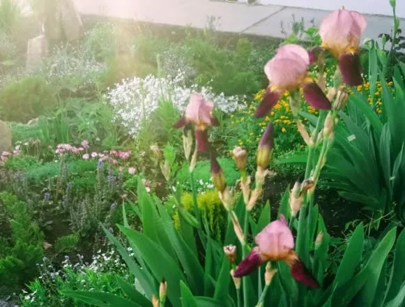 . Отель "Акварель". Криница