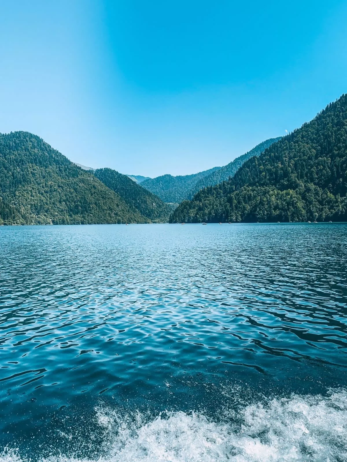 . "Delis" (Делис). Гагра