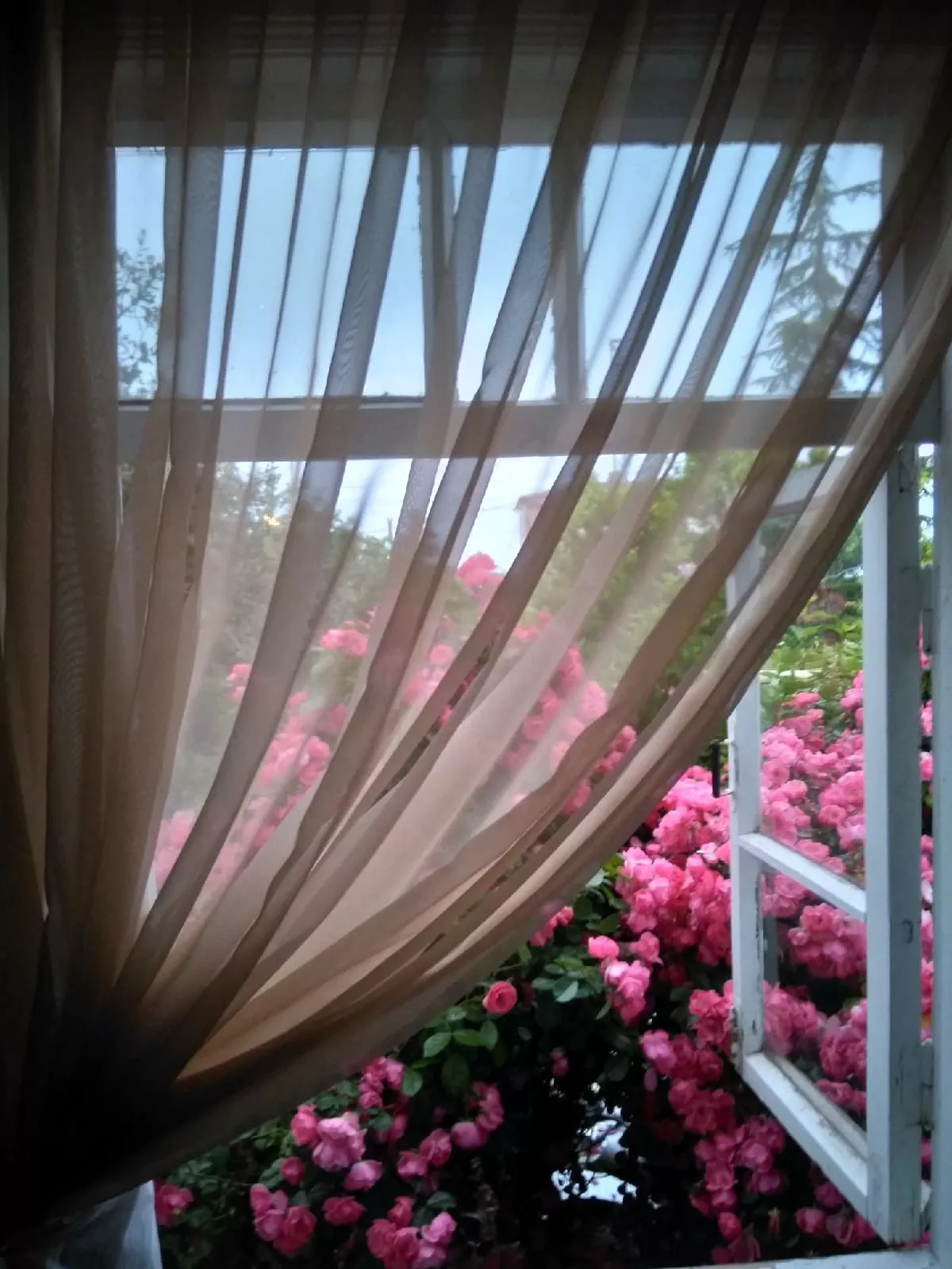 . Частный сектор Вместе! . Новый Афон