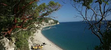 Отель «Pine Beach» Отель «Pine Beach»