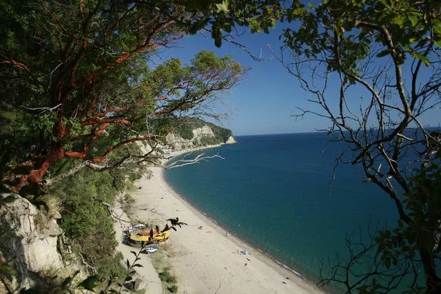 . Отель «Pine Beach». Пицунда