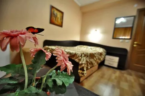 Двухместный номер (без балкона). Гостевой дом "Вояж" - Лазаревское. Лазаревское