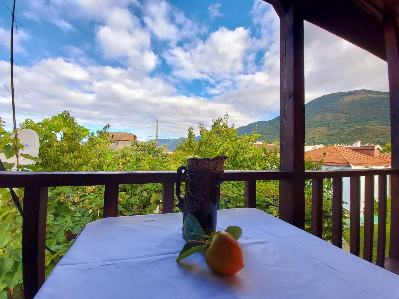 . Гостевой дом гостевой дом Новая Гагра. Гагра