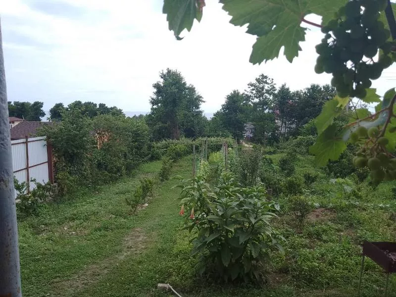 . Частный сектор "Серине". Новый Афон