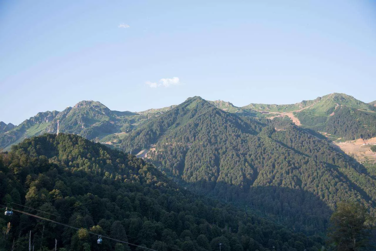 . Отель «Приют Панды». Красная Поляна