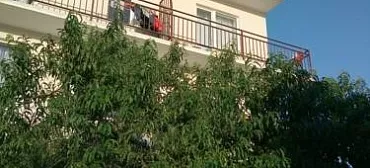 Отель на Звездная 2