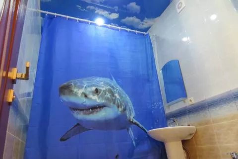 Студия 4-х местная. Вилла "Лилия". Евпатория