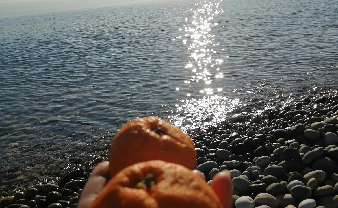 Лавровый лист . Частный сектор Лавровый лист. Новый Афон