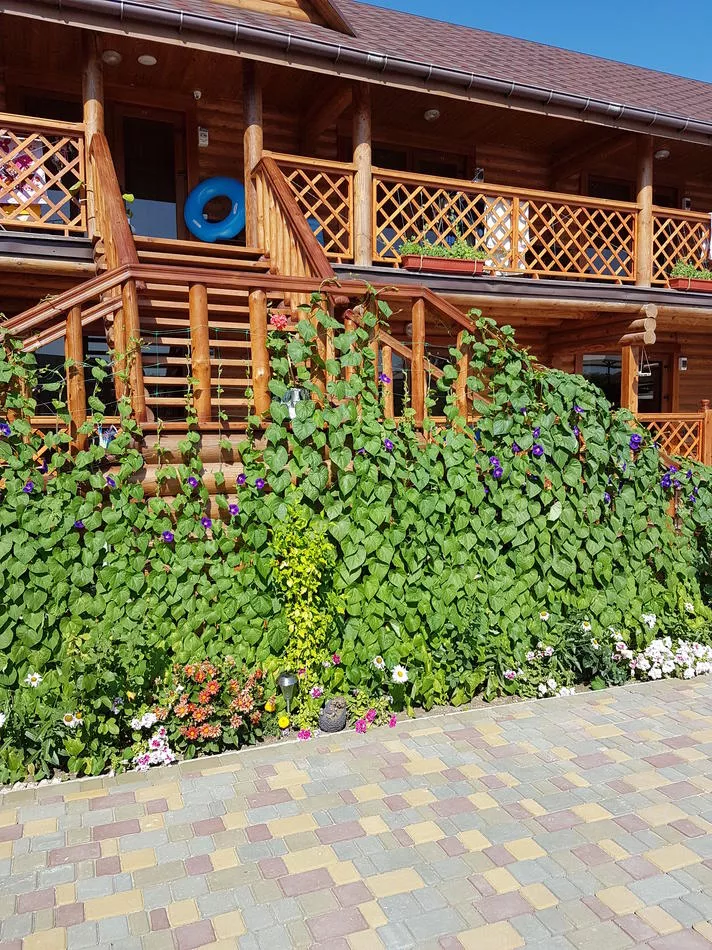 . Гостевой дом "Одиссей" - Приморский. Приморский