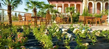 Отель "Ягуар"