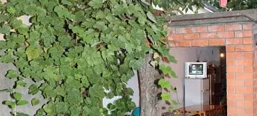 Частный сектор "Говорова 9"