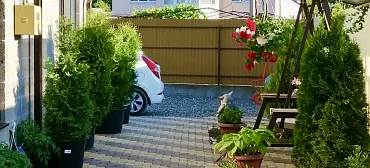 Гостевой дом Дом ДиОкс