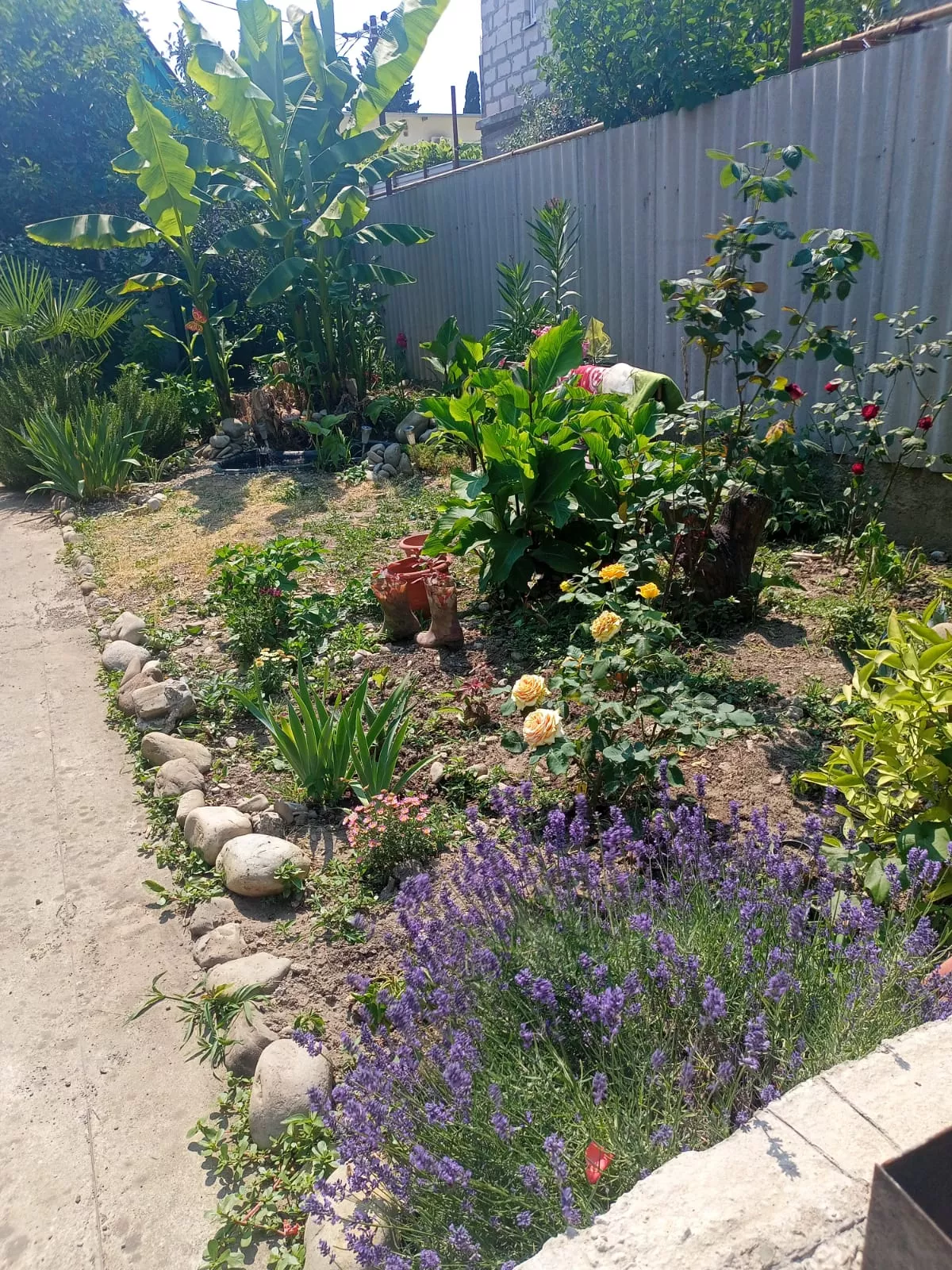 . Частный сектор "У Тани". Лазаревское