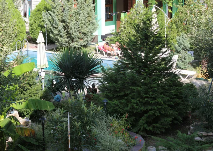 . Гостевой дом "Сибирячка". Ольгинка