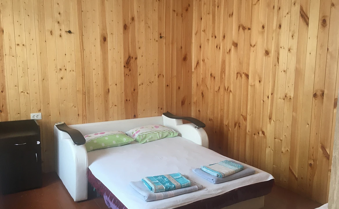 Стандарт . Гостевой дом У Тамары . Цандрипш