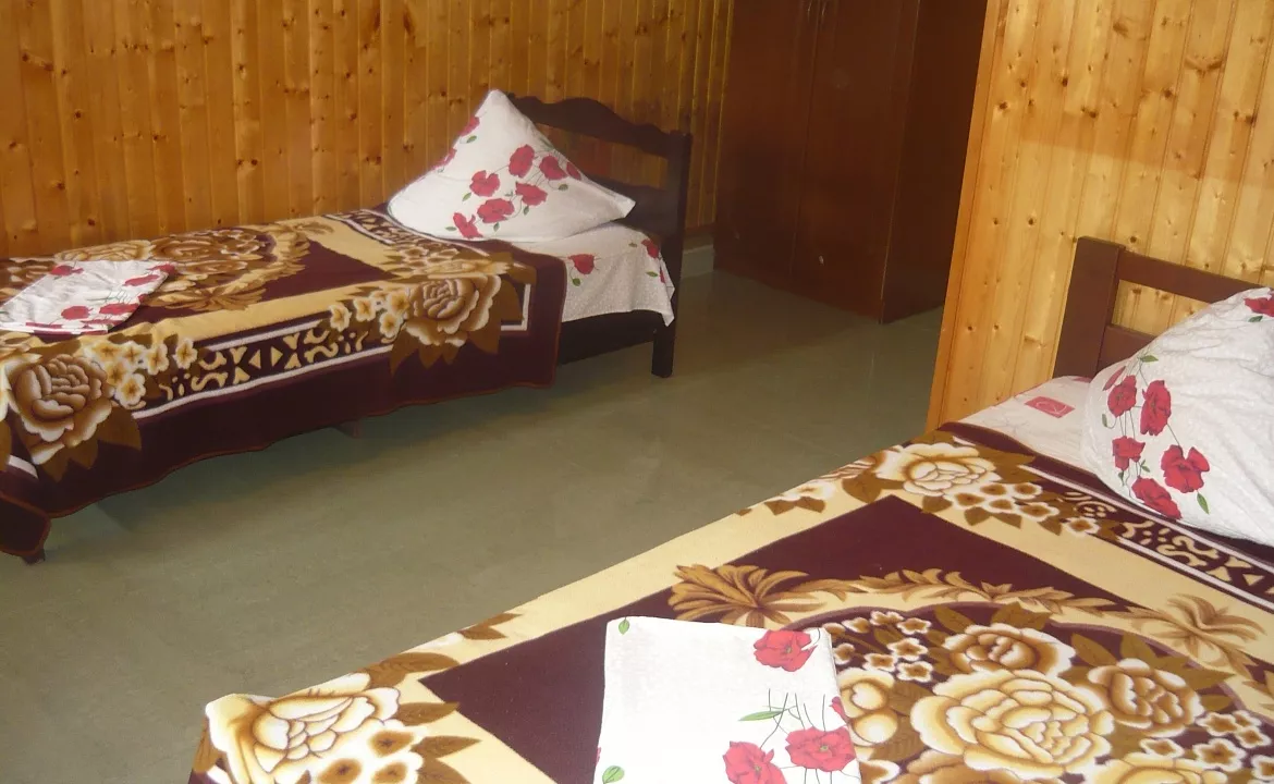 Стандартный трехместный номер. Гостевой дом "Дикая Орхидея". Вардане