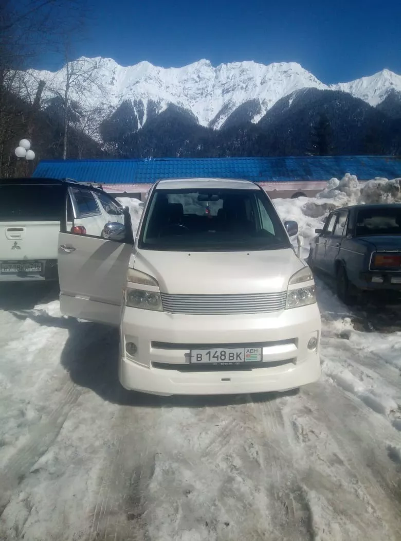 . "Delis" (Делис). Гагра