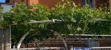 Частный сектор Терская 152/1