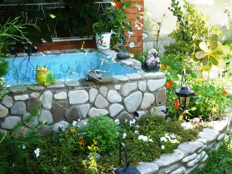 . Гостевой дом "Усадьба Александр" . Шепси . Гостевой дом "Усадьба Александр" . Шепси