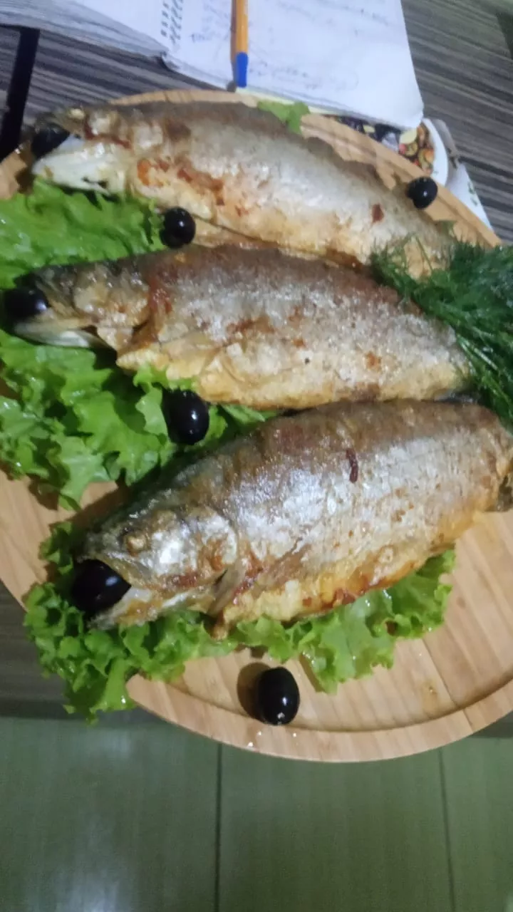 . База отдыха "Скурча". Сухум