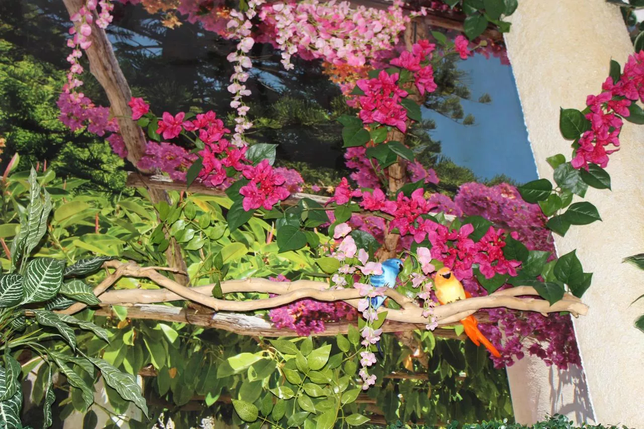 . Отель «Иордан» в Ольгинке              . Ольгинка