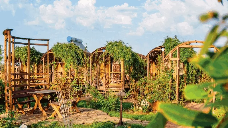 . Гостинично-развлекательный комплекс "Берег Мечты" . Веселовка