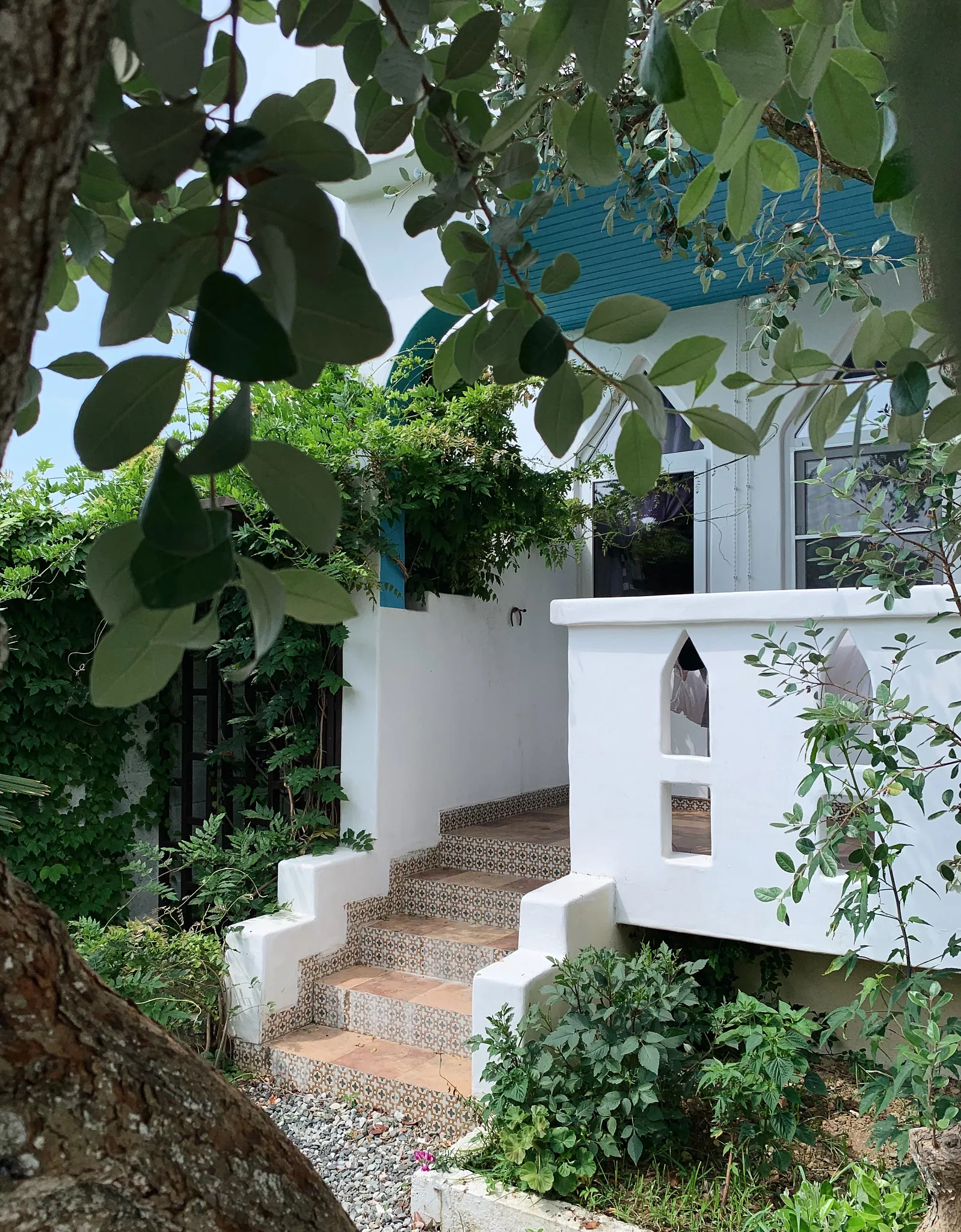 . "Бунгало". Пицунда