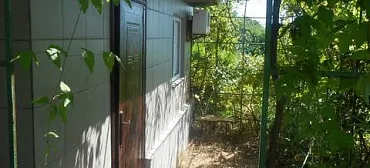 Эллинг «Юрий» Эллинг «Юрий»