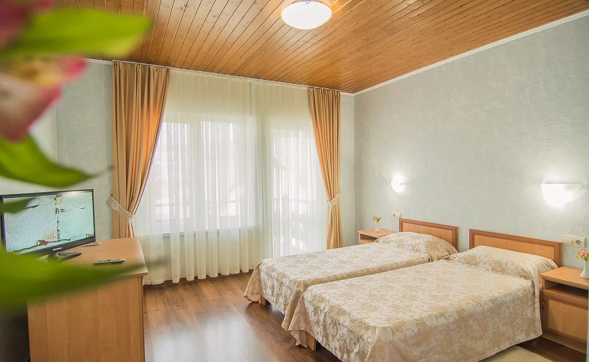 СТАНДАРТ. Отель Семейный эко- отель «Альпийская Долина». Малореченское